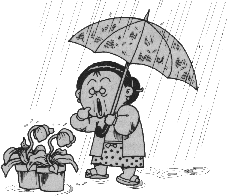 酸雨有什么危害?
