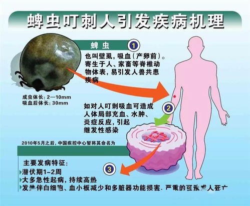 小于总长度时应怎么做?A右对齐B用零补齐bichong