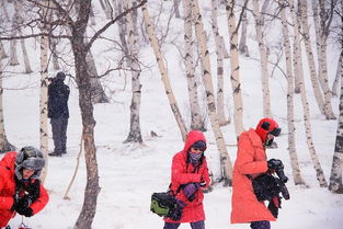 风雪载途的意思
