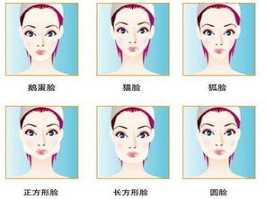 什么是鹅蛋脸,怎样才算是鹅蛋脸