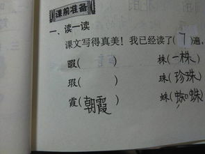 采字组词