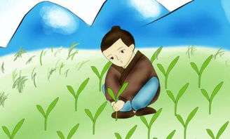 拔苗助长的意思