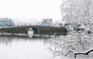 断桥残雪都有什么小说