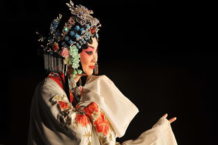 京剧里的青衣指什么?