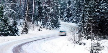 关于南方下雪佳句