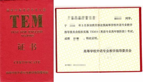 非英语专业报考专八?