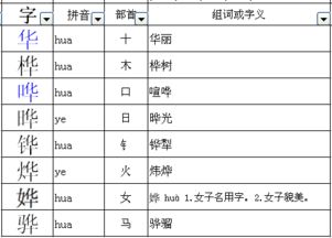 华的部手是什么?