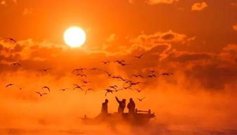 踏实的人有哪些表现