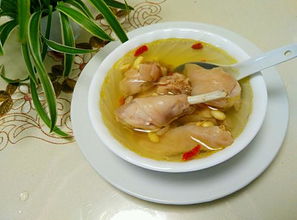 怎样炖兔子肉好吃
