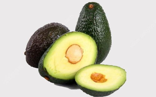 鳄梨是什么