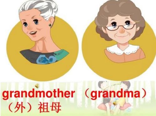 爸爸的外婆我应该叫什么?
