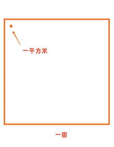 一亩等于多少米?