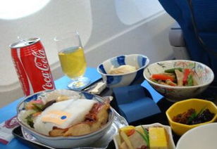 食物可以带上飞机么