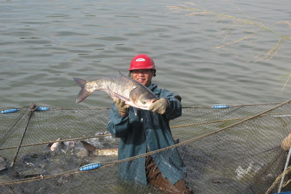 梦到捉鱼是什么预兆