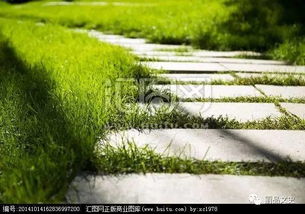 《山中送别》古诗原文及赏析