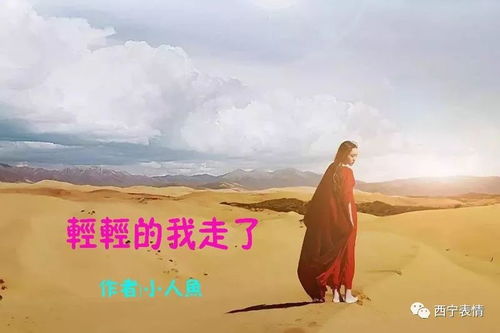 “轻轻的我走了” 是哪首诗歌里的?给下我全文!