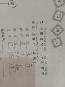 抓组词有哪些