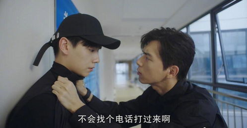 电视剧《亲爱的,热爱的》一共有几集?