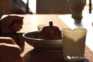走笔谢孟谏议寄新茶的注释译文