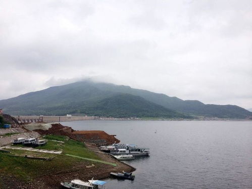 2022年6月29日吉林丰满水库放水了吗