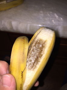 香蕉的种子哪里来的
