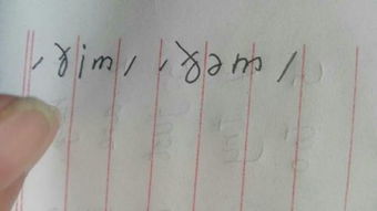 them英语怎么读
