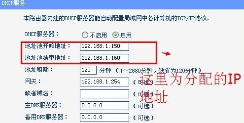 DHCP怎么开启