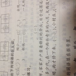 傍晚的反义词是什么?