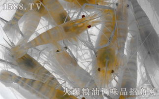 淡水虾和海水虾的区别