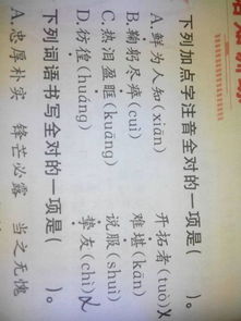 说服是shuo还是shui?