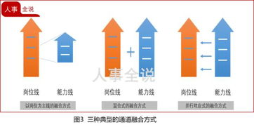中国的五项基本原则是什么?