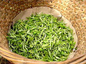 毛峰茶属于什么茶