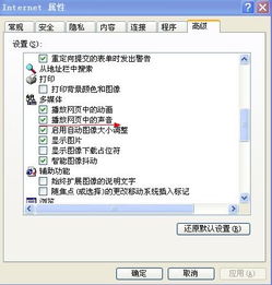 360浏览器为什么网页没有声音
