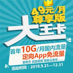 电信大王卡套餐介绍?