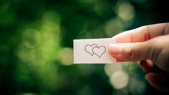 模样的读音是什么