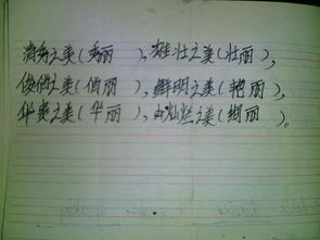 俊俏的近义词是什么