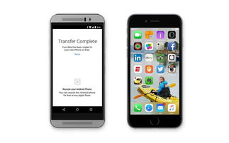 苹果和安卓手机哪个好