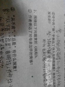 心中的风雨指的是什么