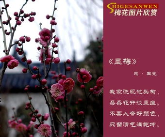 王冕著,诸暨人的意思