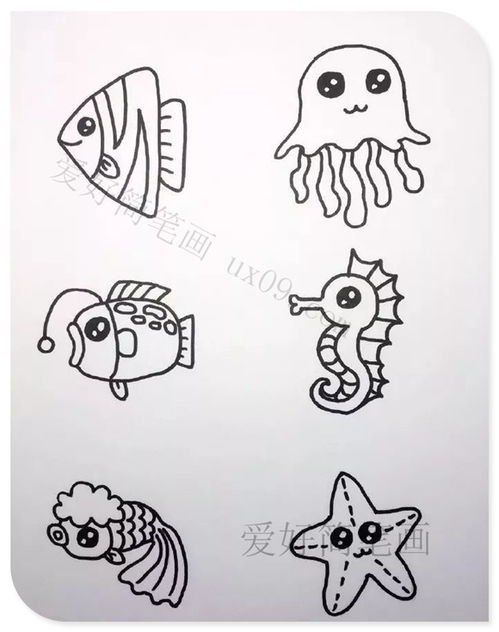 海草怎么画