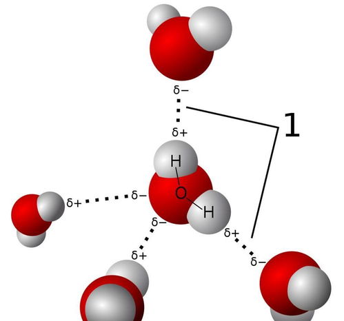什么是氢键,它的定义是什么?