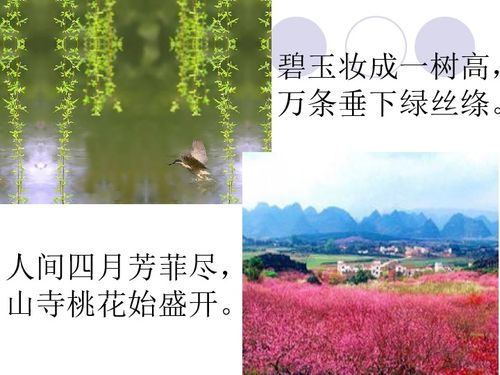 《春》朱自清全文