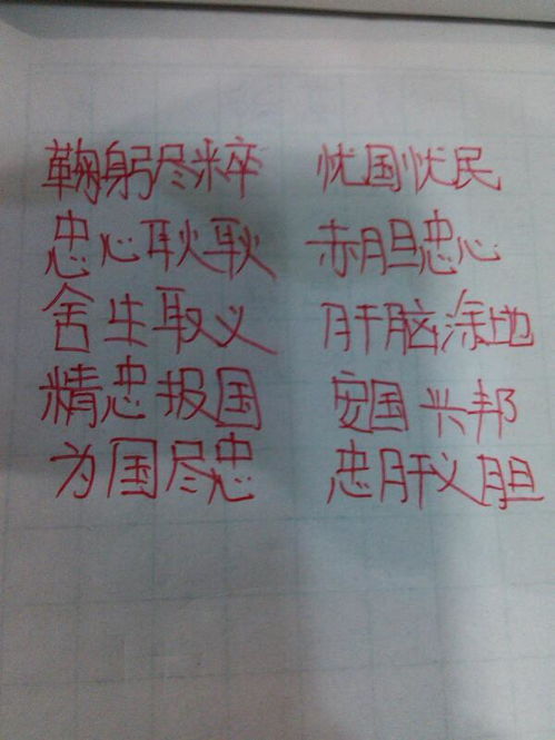 爱国的四字词语有哪些?