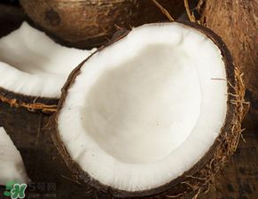 椰皇和椰青的区别