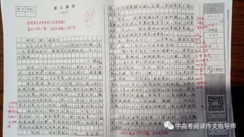 那一缕春风作文