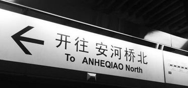 安河桥北是什么梗?