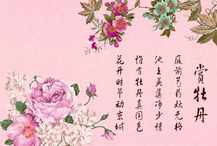 关于牡丹的诗句