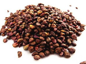 葡萄籽有什么作用?