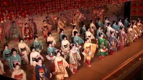 日本红舞姬红枫怎么养?