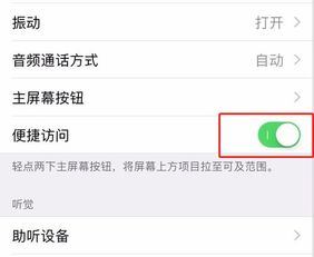 iphone 便捷访问有什么用